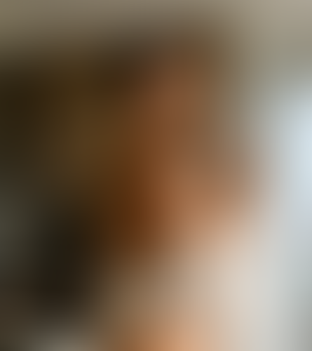 Geblurrte Content-Vorschau