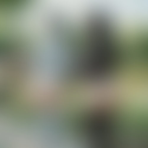 Geblurrte Content-Vorschau