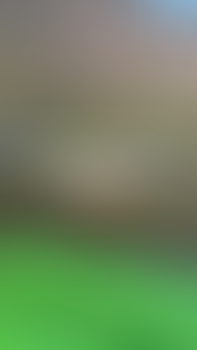 Blurred content preview