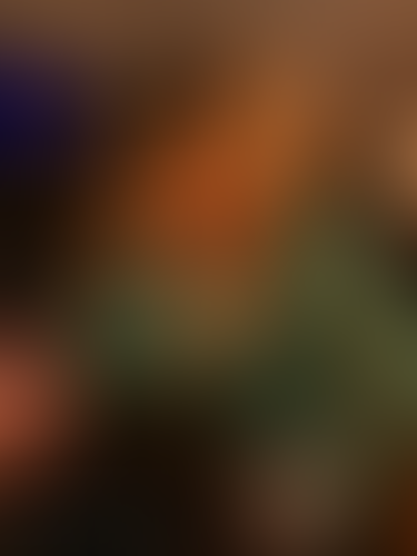 Geblurrte Content-Vorschau