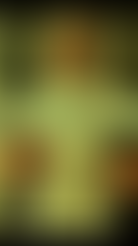Geblurrte Content-Vorschau