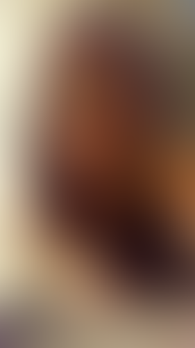 Geblurrte Content-Vorschau