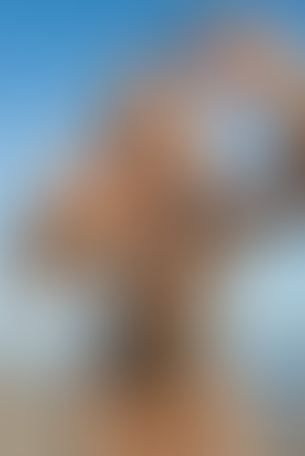 Geblurrte Content-Vorschau