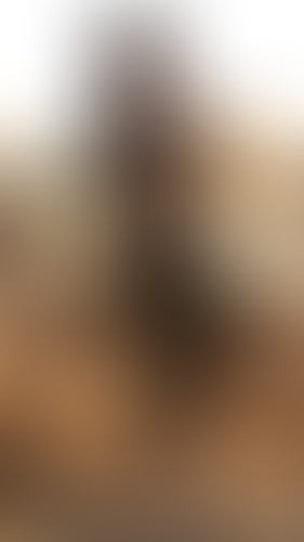 Geblurrte Content-Vorschau