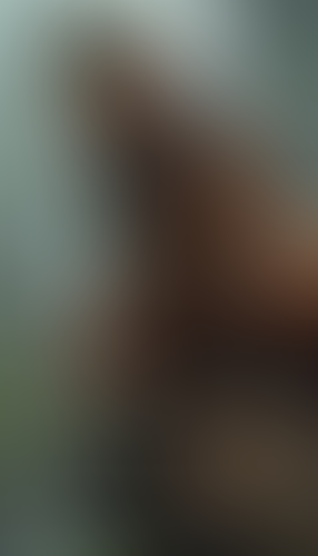 Geblurrte Content-Vorschau