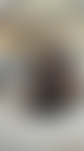 Geblurrte Content-Vorschau