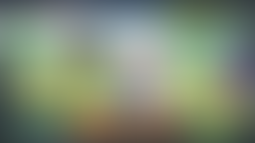 Geblurrte Content-Vorschau