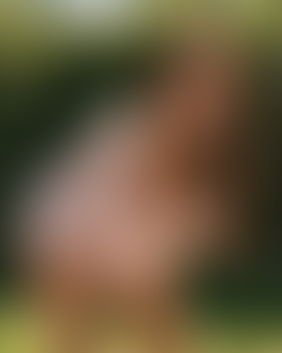 Geblurrte Content-Vorschau