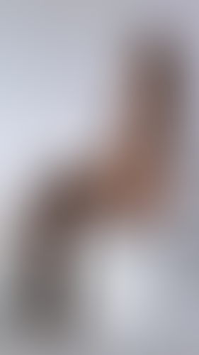 Geblurrte Content-Vorschau