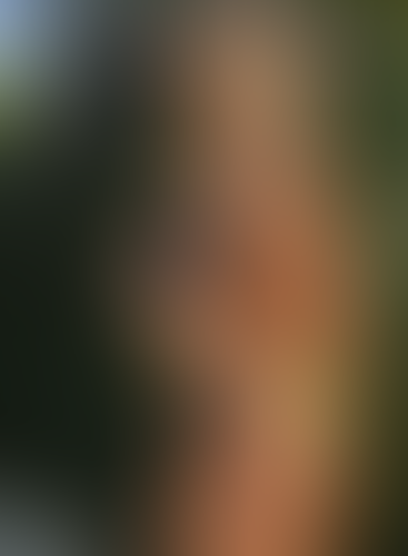Geblurrte Content-Vorschau
