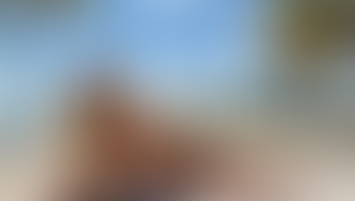 Geblurrte Content-Vorschau