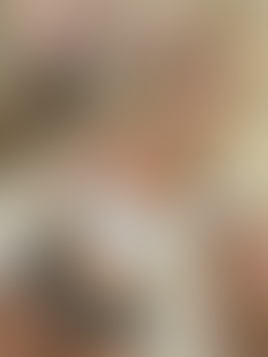 Geblurrte Content-Vorschau