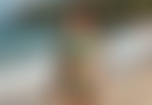 Blurred content preview