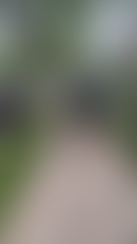Geblurrte Content-Vorschau