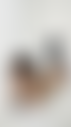 Geblurrte Content-Vorschau