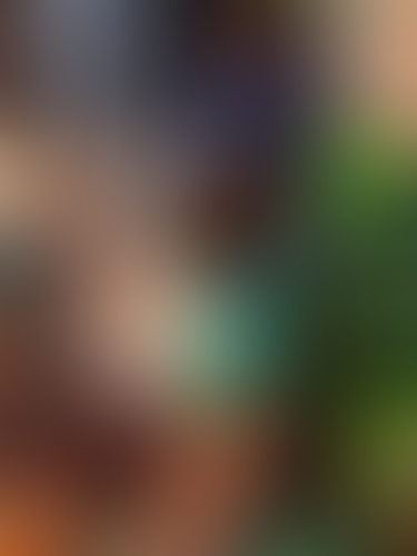 Geblurrte Content-Vorschau