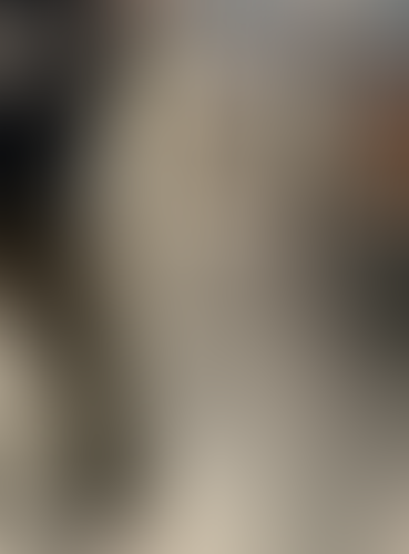 Geblurrte Content-Vorschau