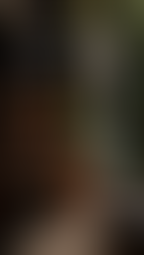 Geblurrte Content-Vorschau