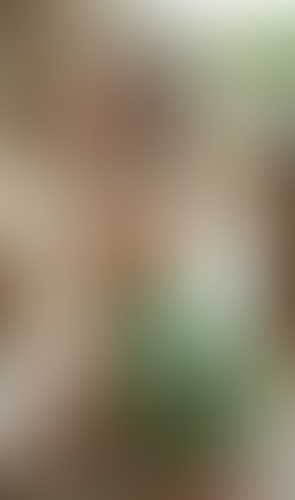 Geblurrte Content-Vorschau