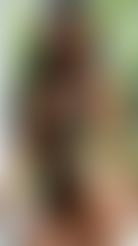 Geblurrte Content-Vorschau