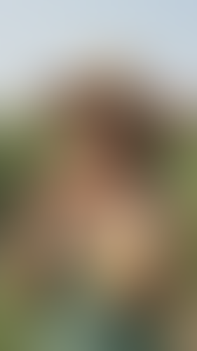Geblurrte Content-Vorschau
