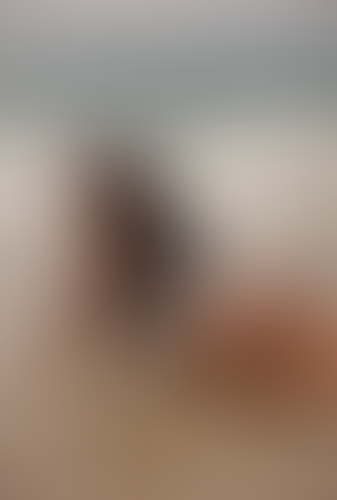 Geblurrte Content-Vorschau
