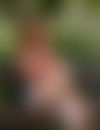 Geblurrte Content-Vorschau