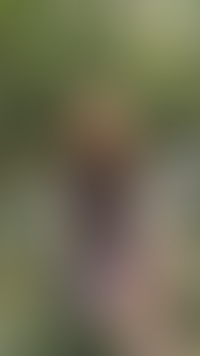 Geblurrte Content-Vorschau