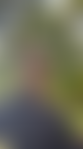 Geblurrte Content-Vorschau