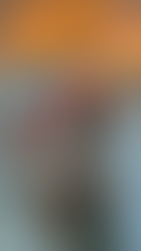 Geblurrte Content-Vorschau