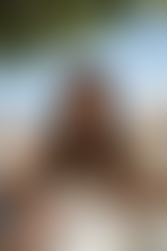 Blurred content preview