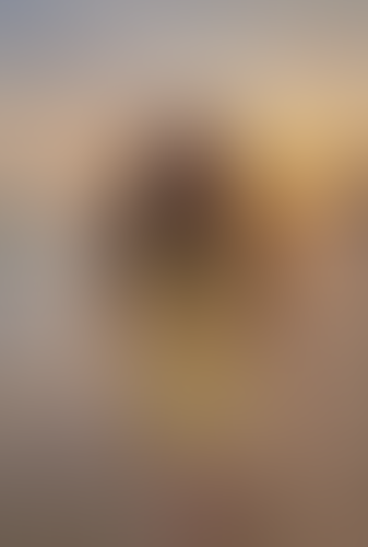 Geblurrte Content-Vorschau