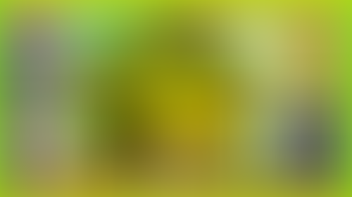Geblurrte Content-Vorschau