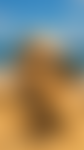 Blurred content preview