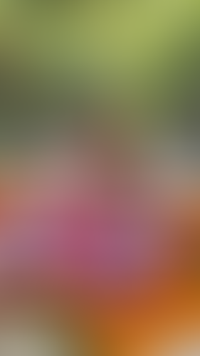 Geblurrte Content-Vorschau