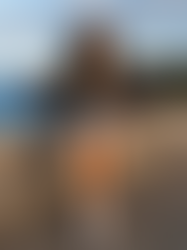 Blurred content preview