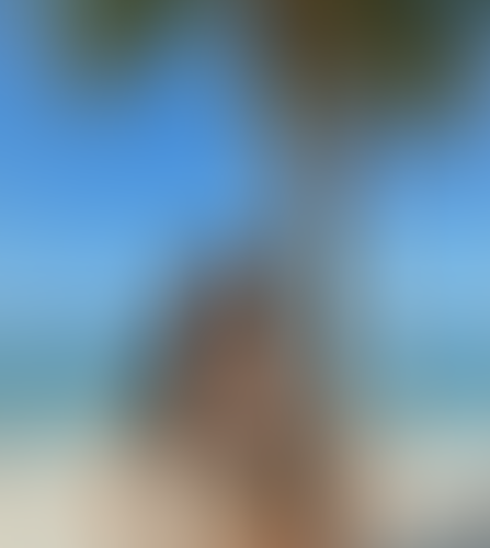 Geblurrte Content-Vorschau