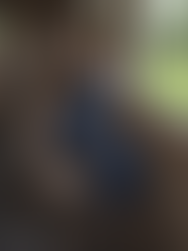 Geblurrte Content-Vorschau