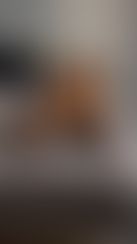 Geblurrte Content-Vorschau