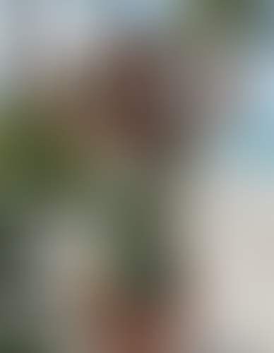 Geblurrte Content-Vorschau
