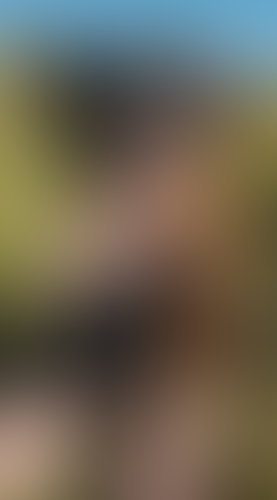 Geblurrte Content-Vorschau