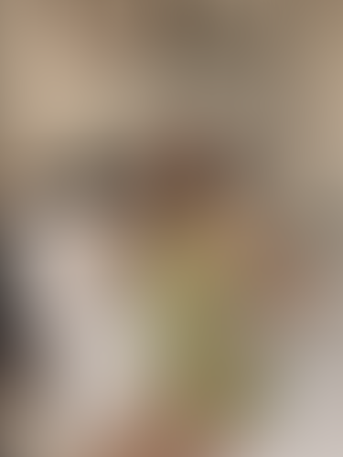 Geblurrte Content-Vorschau