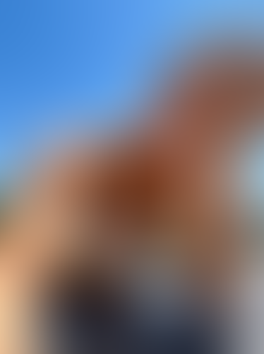 Geblurrte Content-Vorschau