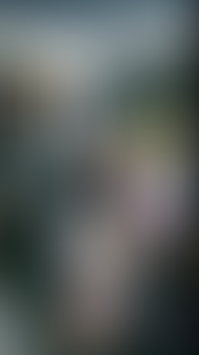 Geblurrte Content-Vorschau