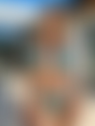 Geblurrte Content-Vorschau