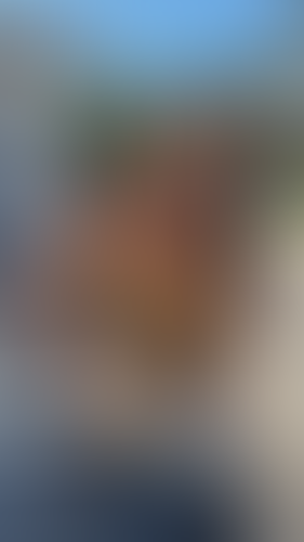 Geblurrte Content-Vorschau