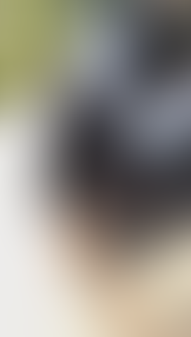 Geblurrte Content-Vorschau