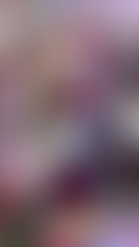 Geblurrte Content-Vorschau