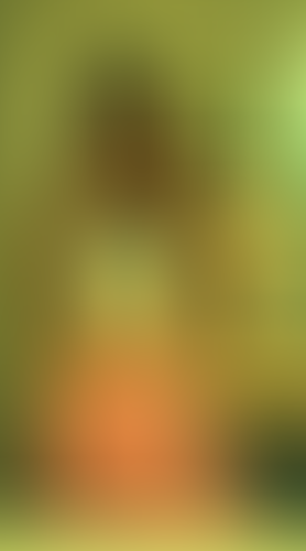 Geblurrte Content-Vorschau