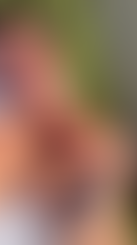 Geblurrte Content-Vorschau